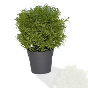 Artificial Plants with Plastic Pot [Product Code 0209]