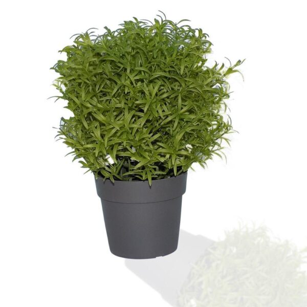 Artificial Plants with Plastic Pot [Product Code 0209]