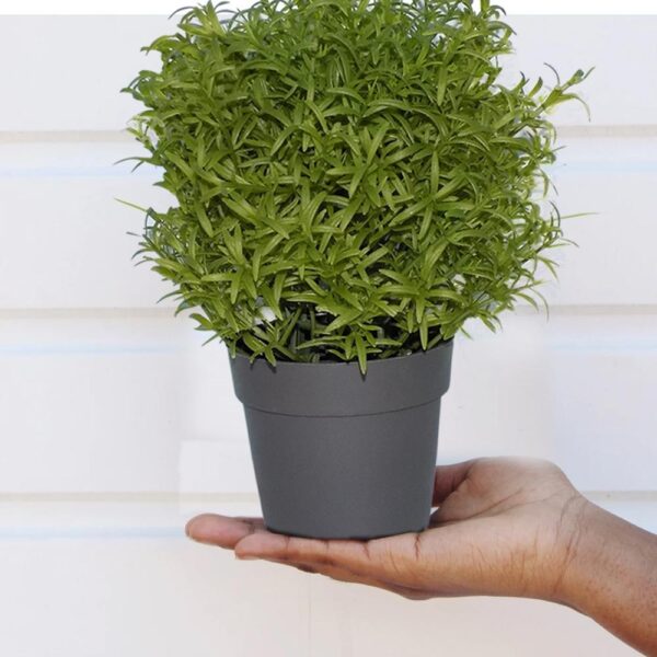 Artificial Plants with Plastic Pot [Product Code 0209] - Image 2
