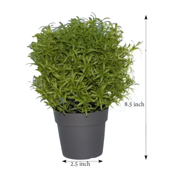 Artificial Plants with Plastic Pot [Product Code 0209] - Image 5
