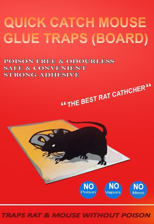 Mice Insect Rodent Lizard Mouse Trap Rat Catcher Adhesive Sticky Cardboard Glue Pad Non Poisonous Non Toxic Odourless Rat Kill Terminator repellent for home (set of 1) Big Size [Product Code 0203] - Image 6