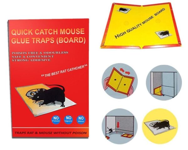 Mice Insect Rodent Lizard Mouse Trap Rat Catcher Adhesive Sticky Cardboard Glue Pad Non Poisonous Non Toxic Odourless Rat Kill Terminator repellent for home (set of 1) Big Size [Product Code 0203] - Image 3