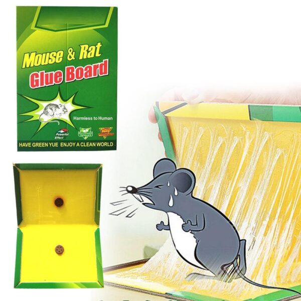 Mice Insect Rodent Lizard Mouse Trap Rat Catcher Adhesive Sticky Cardboard Glue Pad Non Poisonous Non Toxic Odourless Rat Kill Terminator repellent for home (set of 1) Big Size [Product Code 0202] - Image 3